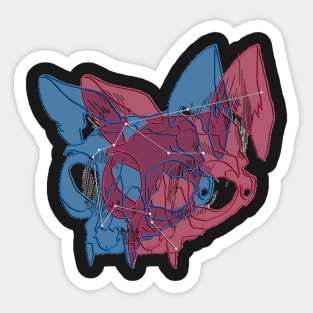 3-D Aquarius cat skull Sticker